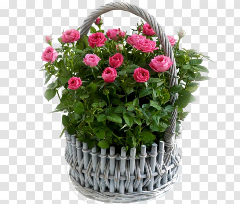 Flower Floristry Basket Floral Design Pink - Rose Transparent PNG