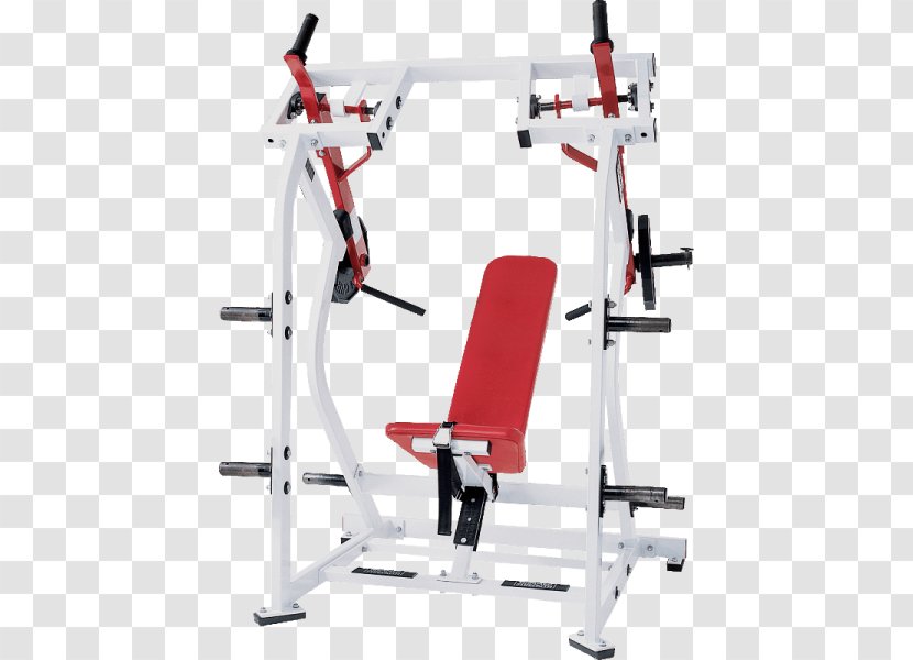 Overhead Press Exercise Equipment Strength Training Fitness Centre - Bench - Dumbbell Calf Raises Transparent PNG