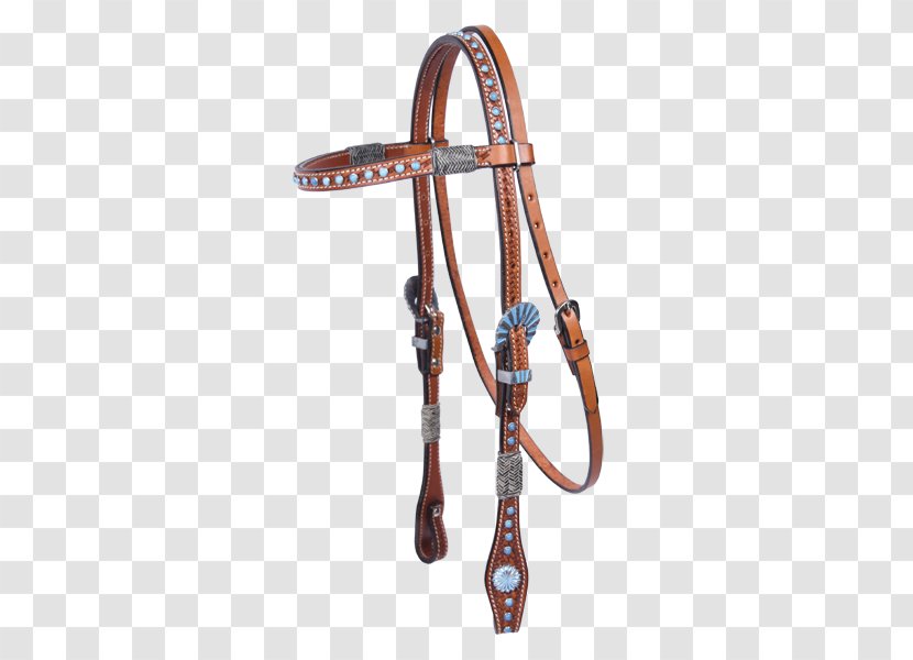 Horse Tack Bridle Amazon CloudFront Bit - Leash Transparent PNG