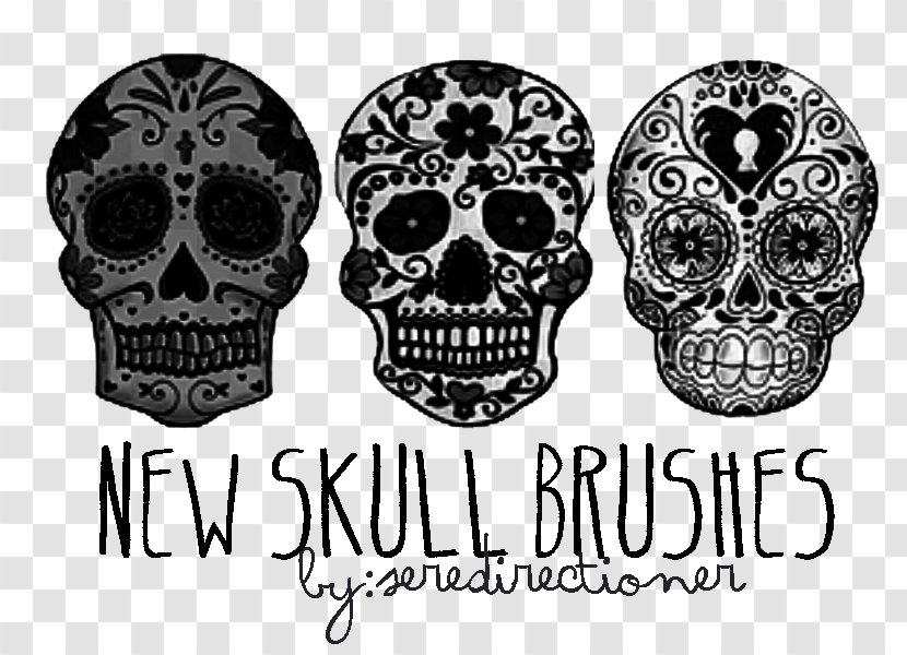 Calavera Skull Bone Day Of The Dead Drawing - Brush - Tattoo Transparent PNG