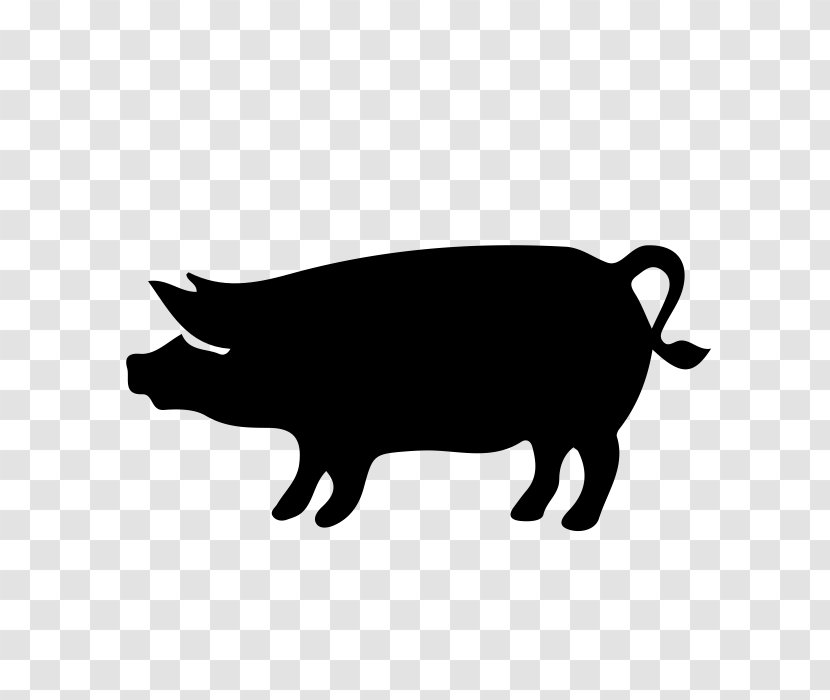 Domestic Pig Ribs Ham - Cattle Like Mammal Transparent PNG