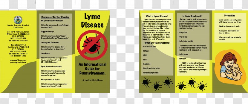 Lyme Disease Brochure Pamphlet Anxiety - Mental Disorder Transparent PNG