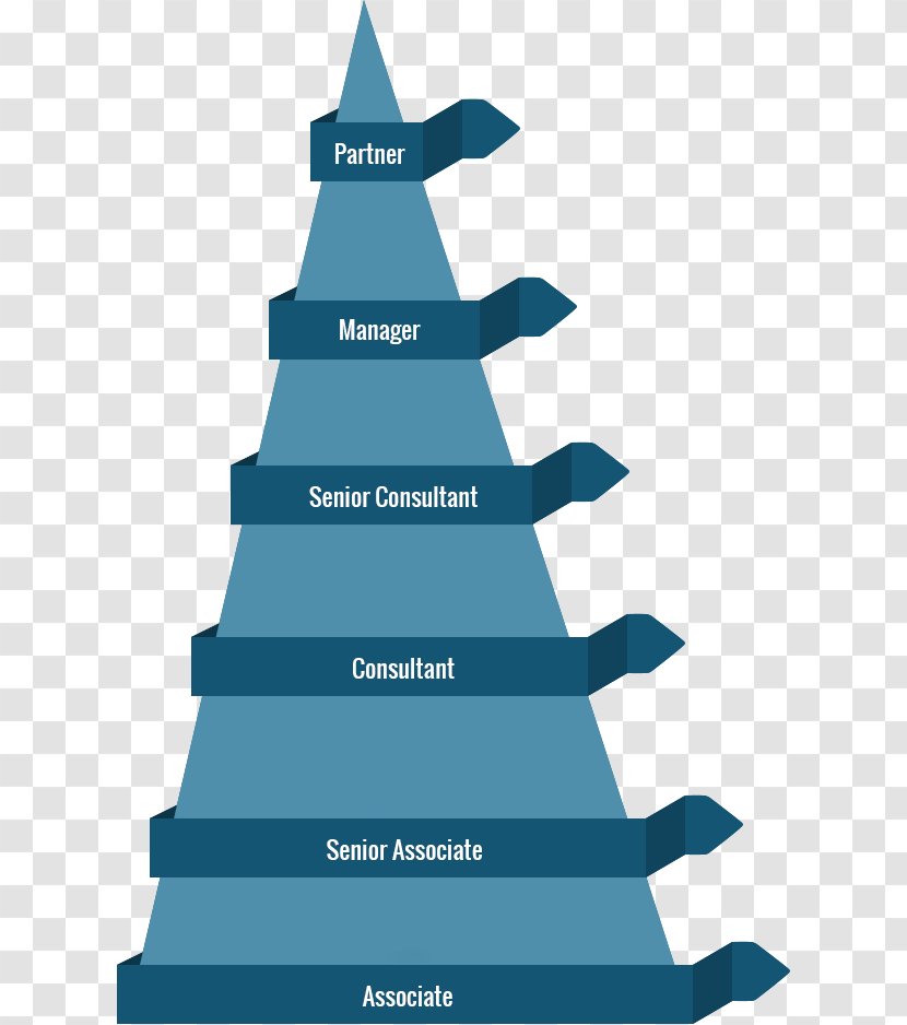 Christmas Tree Career Fir Structure - Diagram Transparent PNG