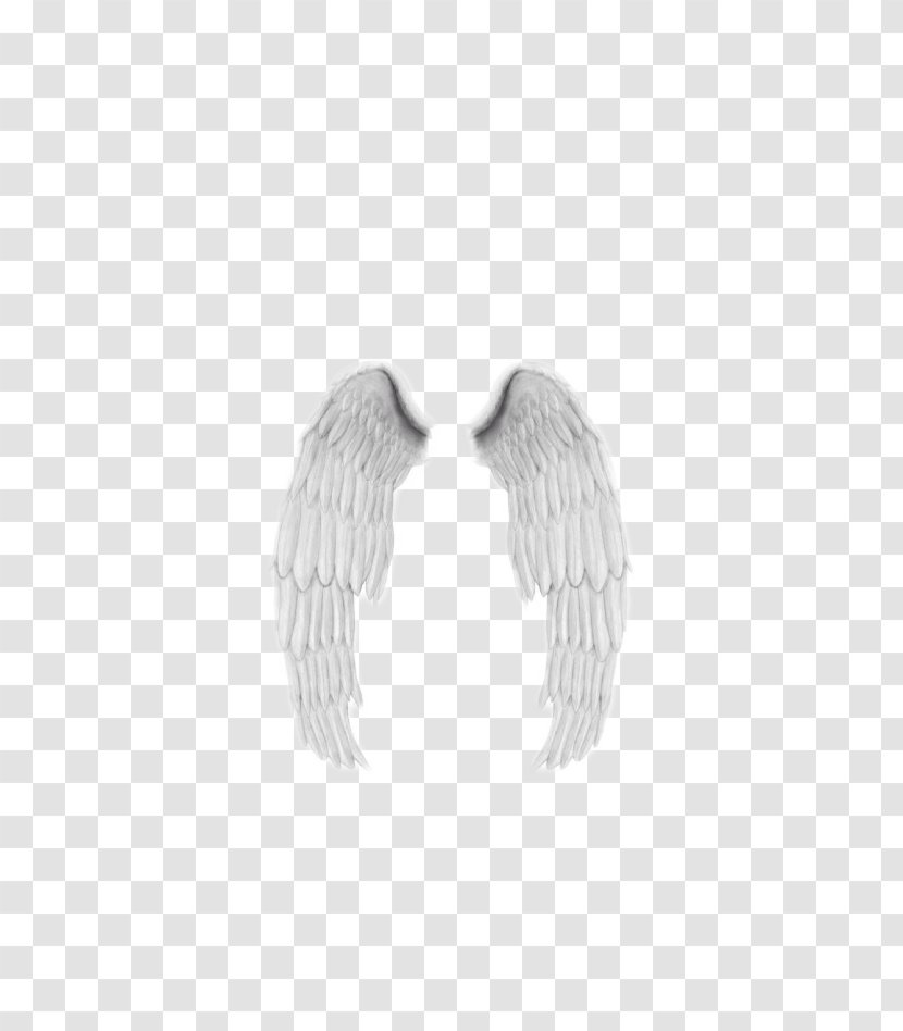 Doll Angel Wings Feather Polyvore - Monochrome Transparent PNG