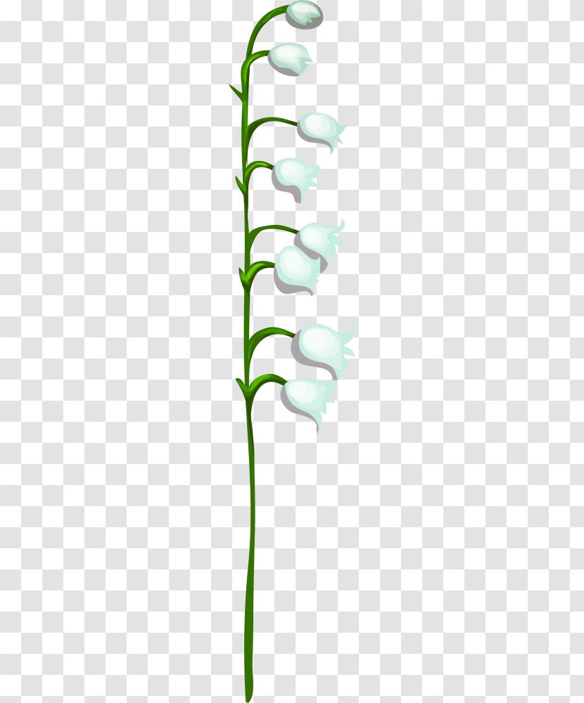 Leaf Download Icon - Floral Design - White Tulips Transparent PNG