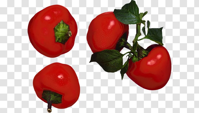 Capsicum Annuum Vegetable Food Fruit Chili Pepper - Bell Peppers And Transparent PNG