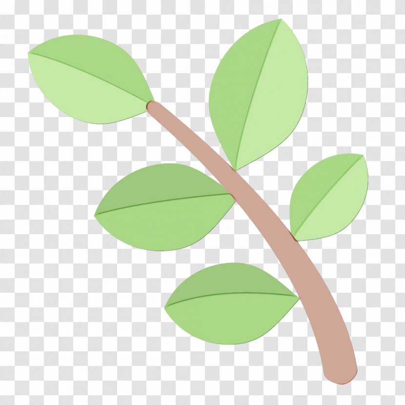 Green Leaf Background - Plant Stem - Arctostaphylos Twig Transparent PNG