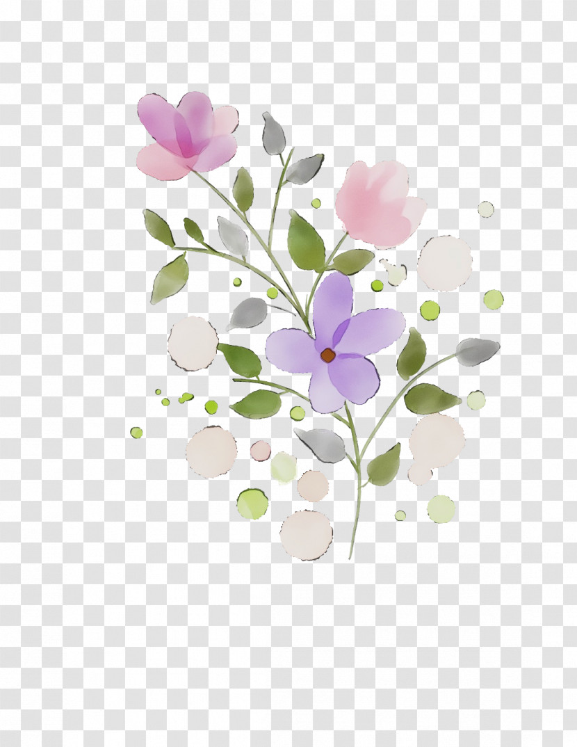 Flower Petal Plant Violet Branch Transparent PNG