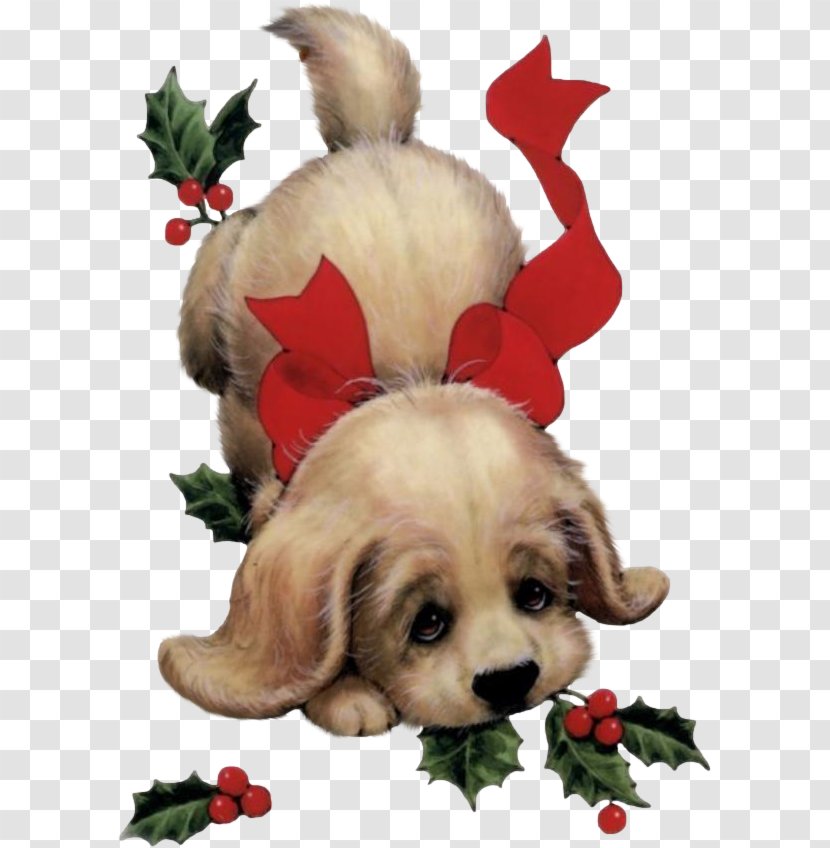 Puppy Santa Claus Dog Christmas Card - Crossbreeds Transparent PNG