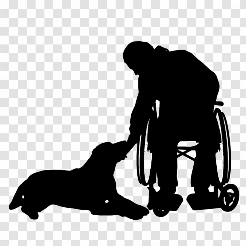 Dog Disability Wheelchair - Service Animal Transparent PNG