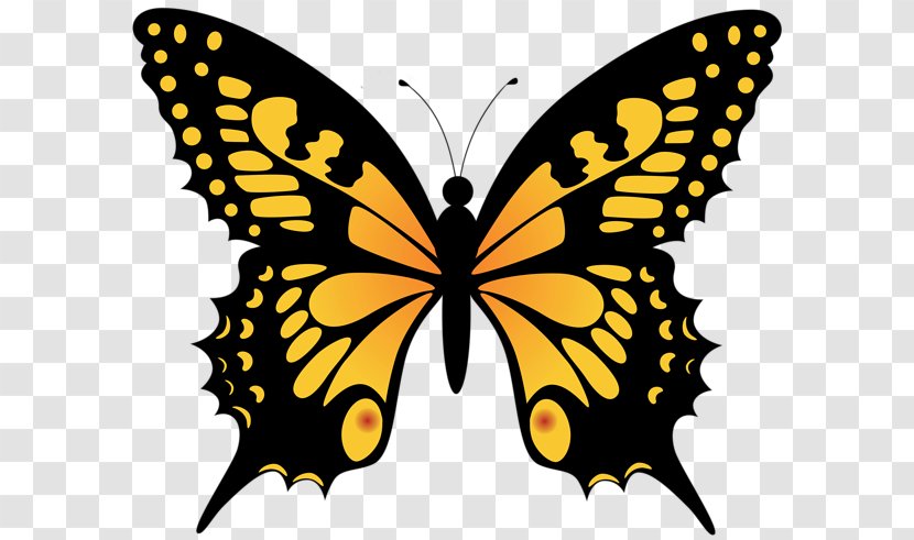 Monarch Butterfly Clip Art - Yellow - Drawing Transparent PNG
