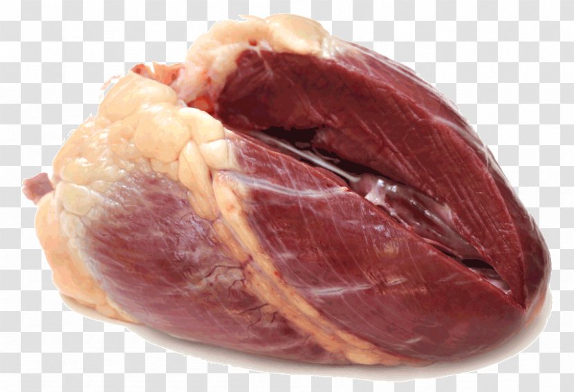 Raw Meat Lamb And Mutton Ribs Beef - Silhouette Transparent PNG