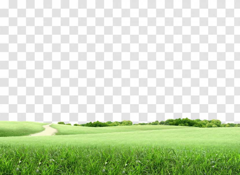 Lawn Golf Course Landscape Architecture - Design Transparent PNG