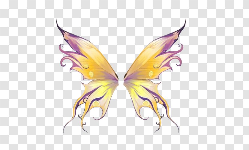Drawing - Photography - Butterfly Elements Transparent PNG