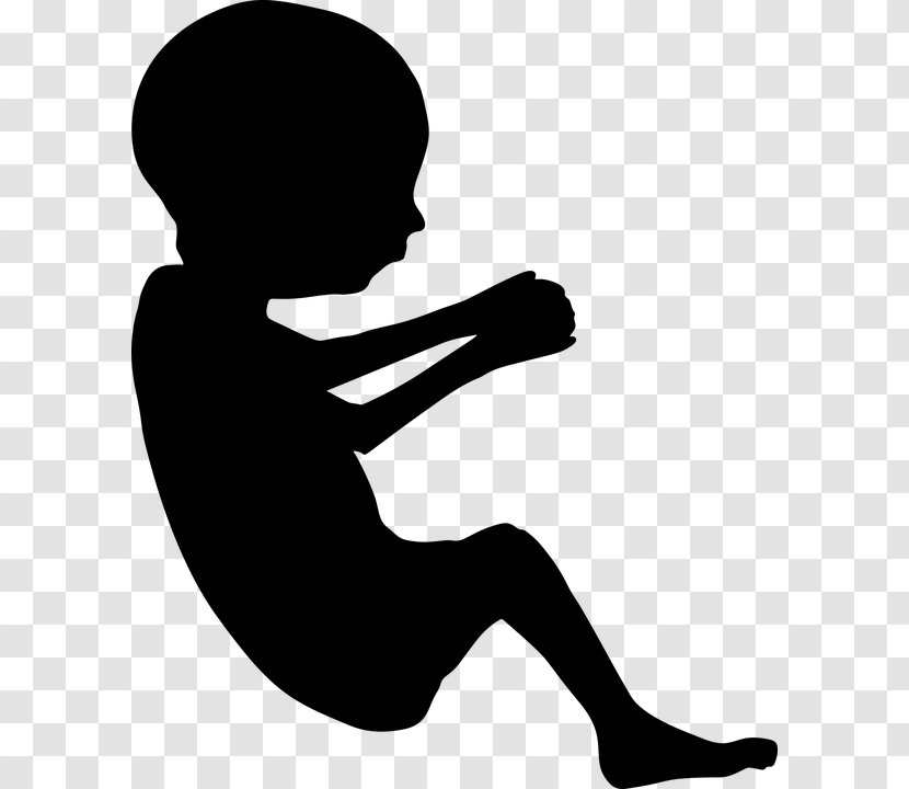 Pregnancy Fetus Infant Clip Art - Embryo Transparent PNG