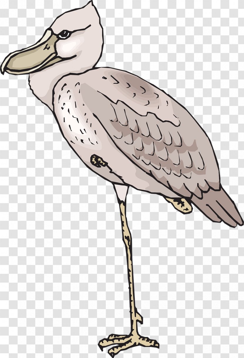 European Herring Gull Bird Shoebill Beak Clip Art - Neck Transparent PNG