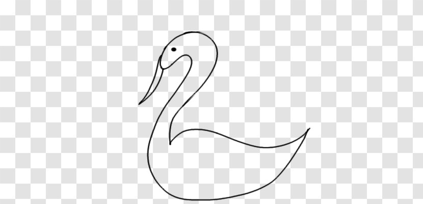 Beak Anatidae Cygnini Drawing Clip Art - Duck - Swan Transparent PNG
