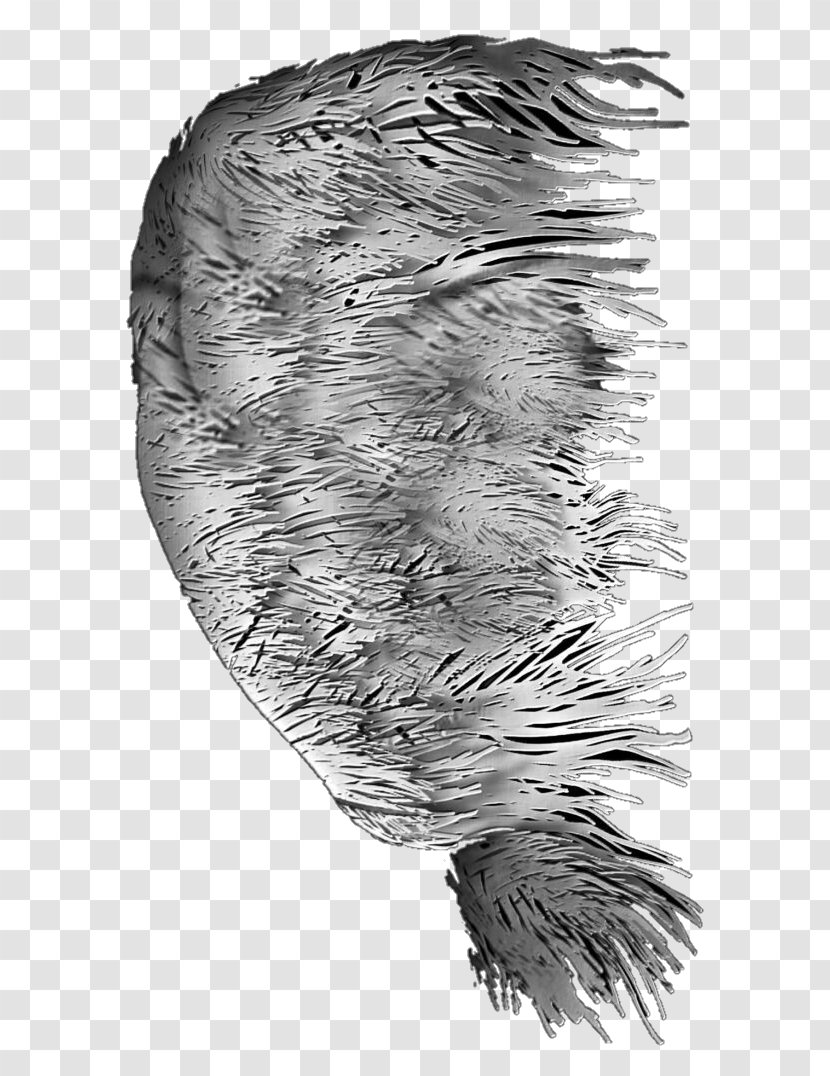 Feather Fur Beak White Tail - Monochrome Transparent PNG