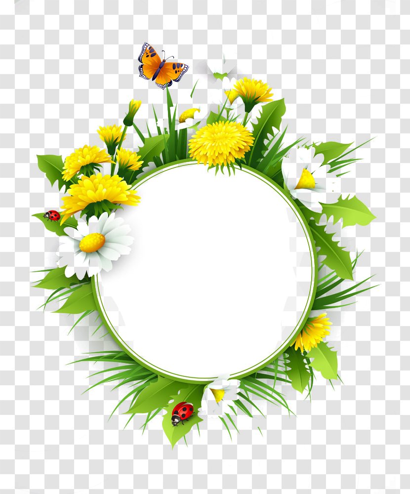 Common Dandelion Euclidean Vector Flower Daisy - Grass - Flowers Title Box Transparent PNG
