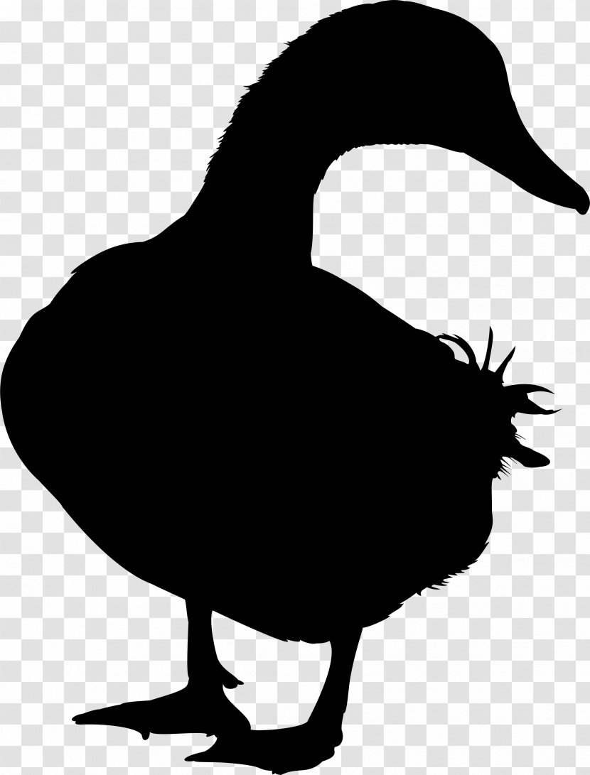 Duck Goose Silhouette Vector Graphics Image - Waterfowl - Bird Transparent PNG