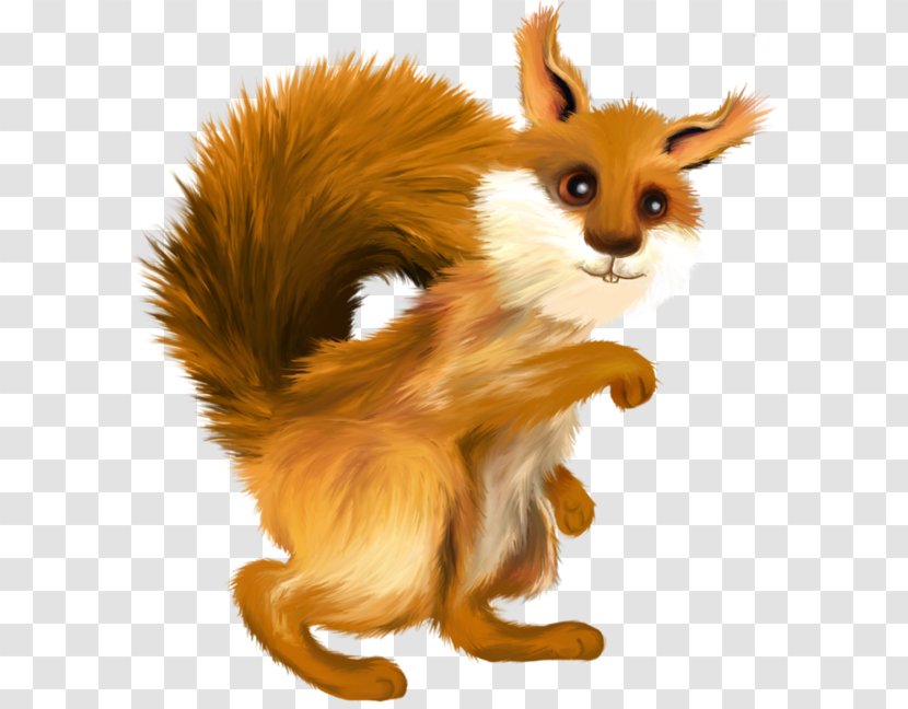 Red Fox Tree Squirrels Rodent Clip Art - Snout Transparent PNG