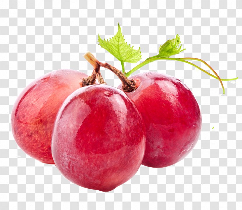 Wine Common Grape Vine Vitis Labrusca - Berry Transparent PNG