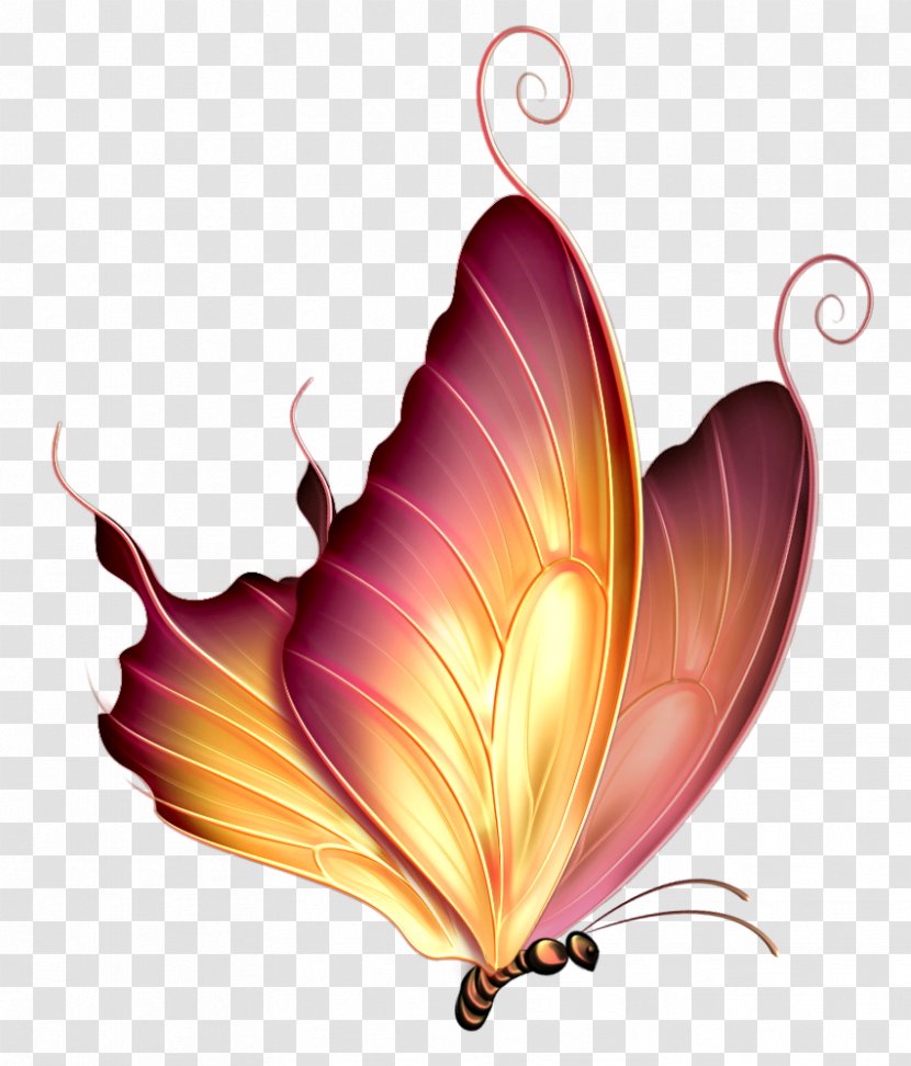Gwalior Varanasi Drawing - Decorative Arts - Gorgeous Butterfly Silhouette,Cartoon Dream Transparent PNG