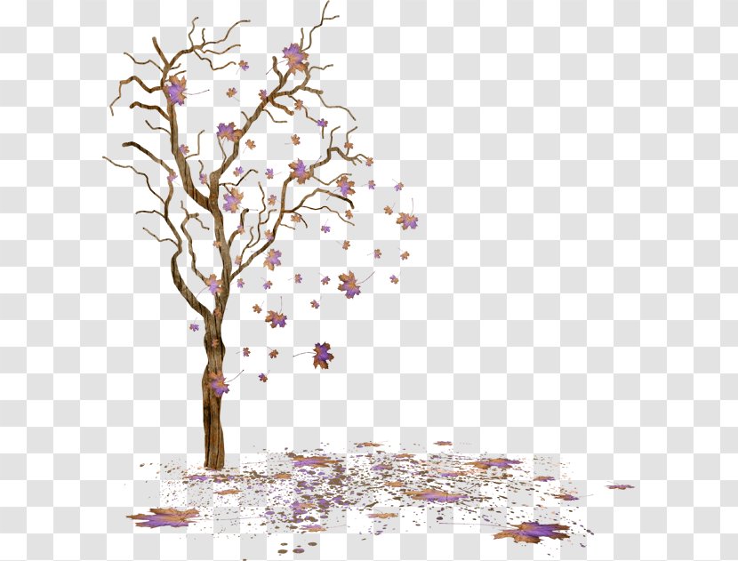 Tree 0 Rose 1 2 - Blog Transparent PNG