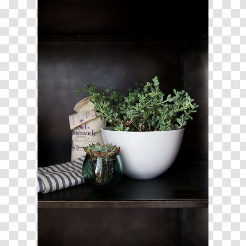 Holmegaard Bowl Glass Danish Design Ceramic - Flowerpot - White Transparent PNG