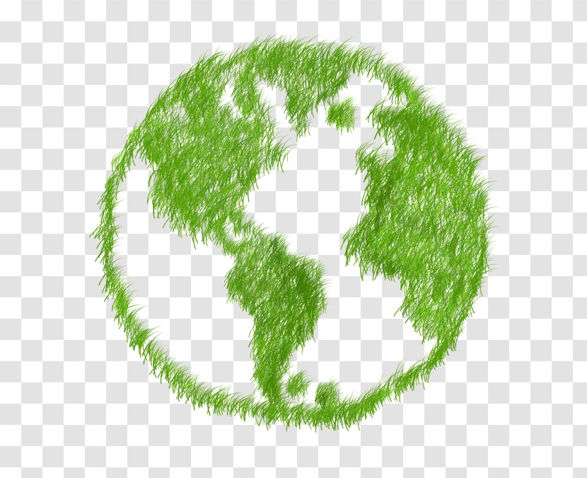 Ecology Carbon Footprint Ecological Energy Conservation - Sustainability - Natural Environment Transparent PNG