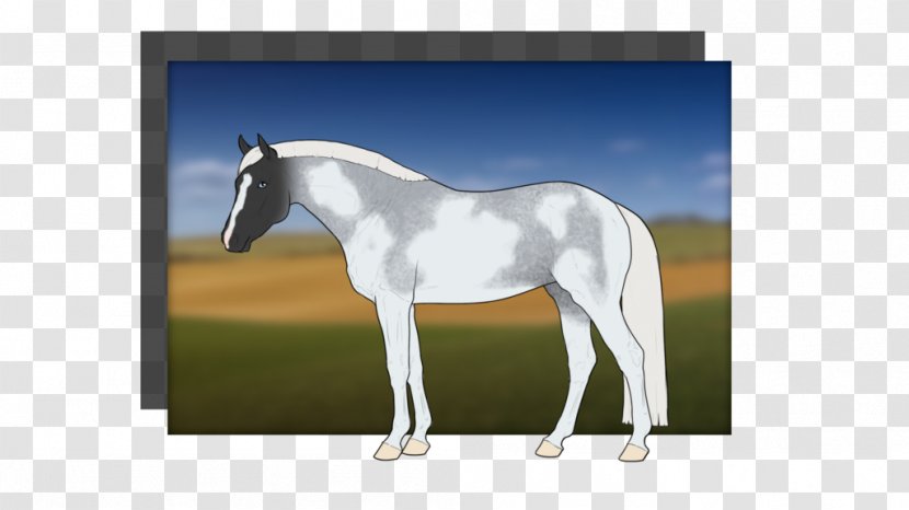 Mane Mustang Foal Stallion Mare - Horse Tack Transparent PNG