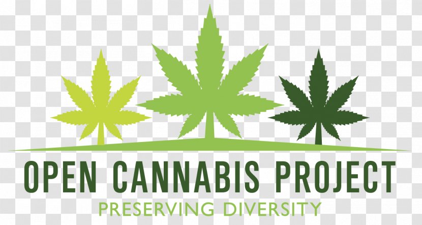 United States Kush Cannabis Cultivation Hemp Transparent PNG