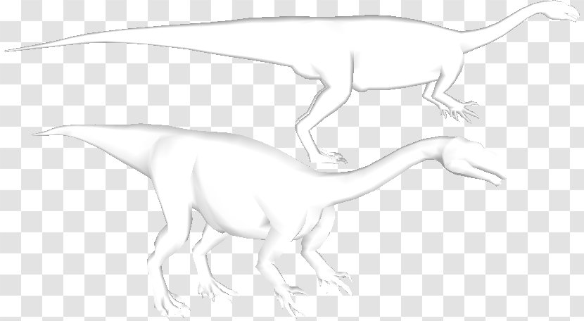 Velociraptor Tyrannosaurus Drawing Line Art Sketch - Organism - Tail Transparent PNG
