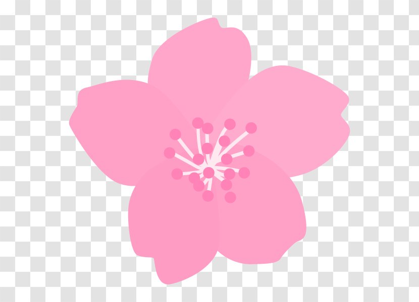 Illustration Cherry Blossom Vertebral Column Orthopedic Surgery Shinagawa Shisyokai Hospital - Flowering Plant - Violet Transparent PNG