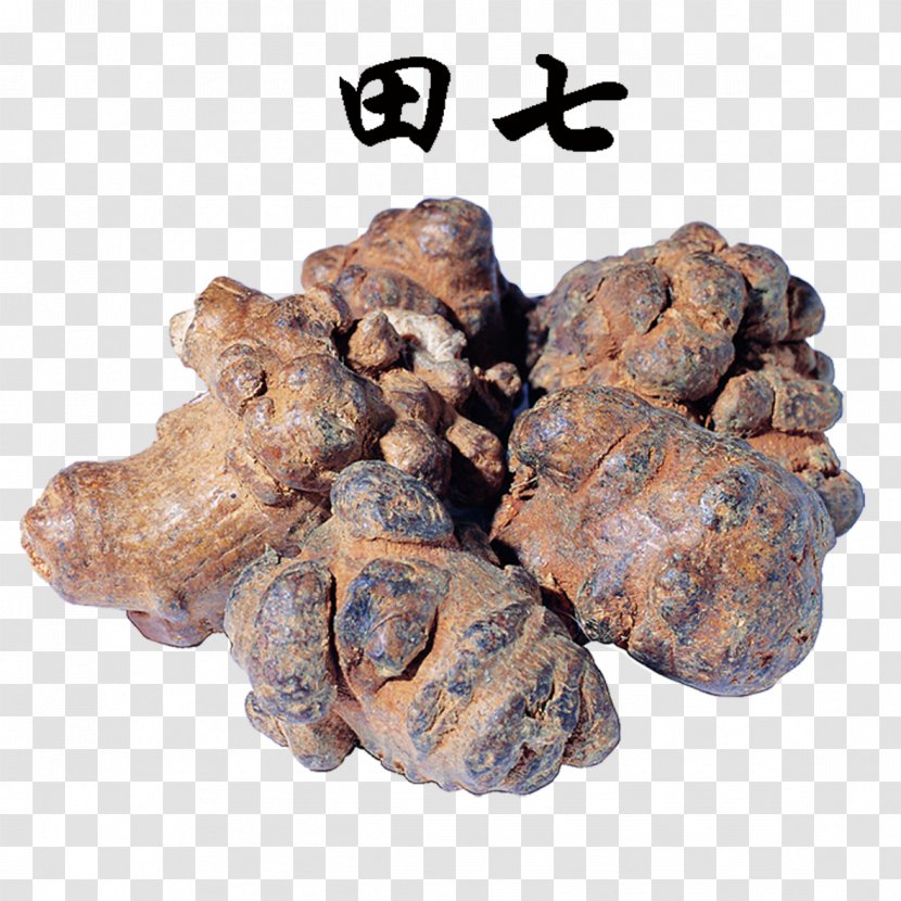 Panax Notoginseng Chinese Herbology Food Blood - Herbs Of Transparent PNG
