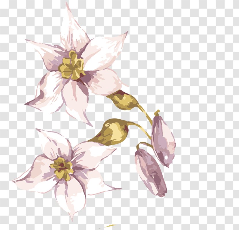 Adobe Illustrator Flower - Artwork - Hand-painted Flowers,Beautiful,watercolor,Oil Painting Effect,Flowers,Leaves Transparent PNG