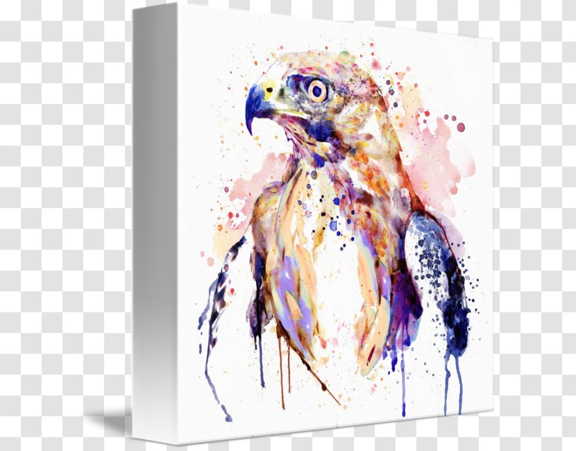 Hawk Watercolor Painting Bird Art - Golden Eagle - BIRDS OF PREY Transparent PNG