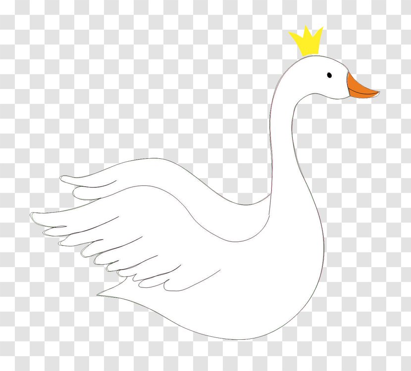 Duck Goose Chicken Cygnini Feather - Wing Transparent PNG