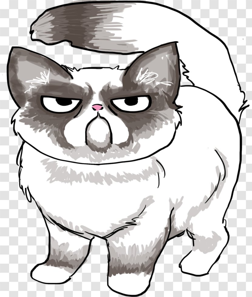 Grumpy Cat Line Art Drawing - Frame Transparent PNG