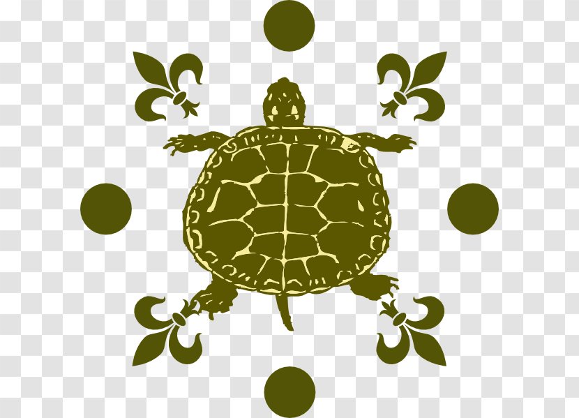 Tortoise Turtle Clip Art Transparent PNG