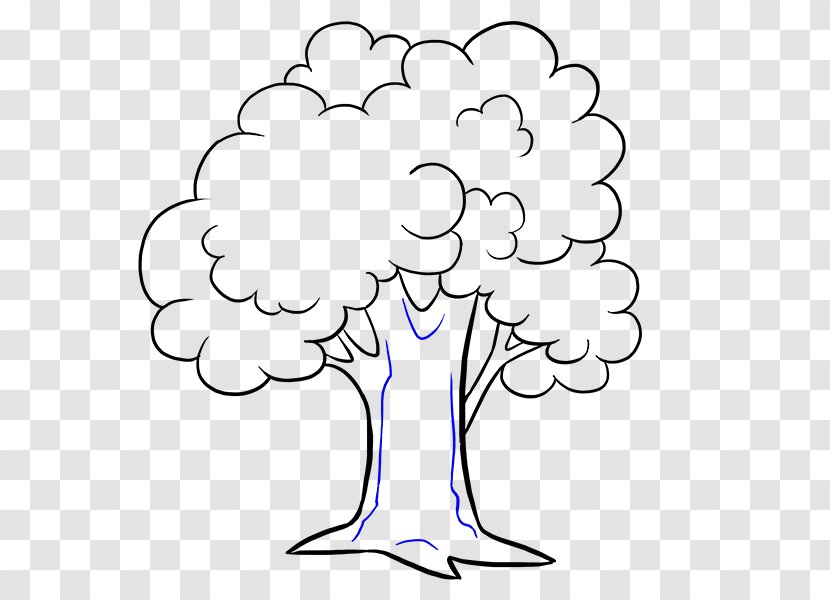 Drawing Cartoon Draw Trees Clip Art - Branch Transparent PNG