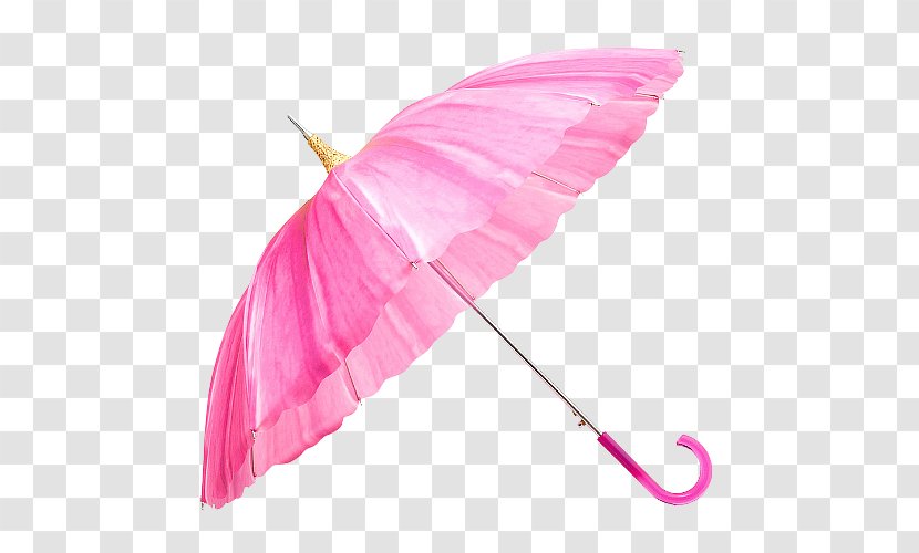 Umbrella Cloakroom Purple Designer - Totes Isotoner - Pink Transparent PNG