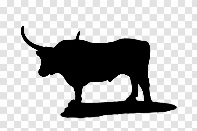 Cattle Ox Clip Art Silhouette Snout - Horn - Photography Transparent PNG