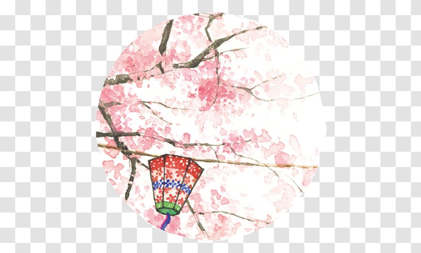 National Cherry Blossom Festival Pink Cerasus - Blossoms Transparent PNG