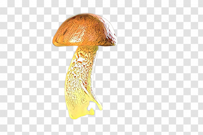 Mushroom Penny Bun Bolete Edible Mushroom Agaricus Transparent PNG