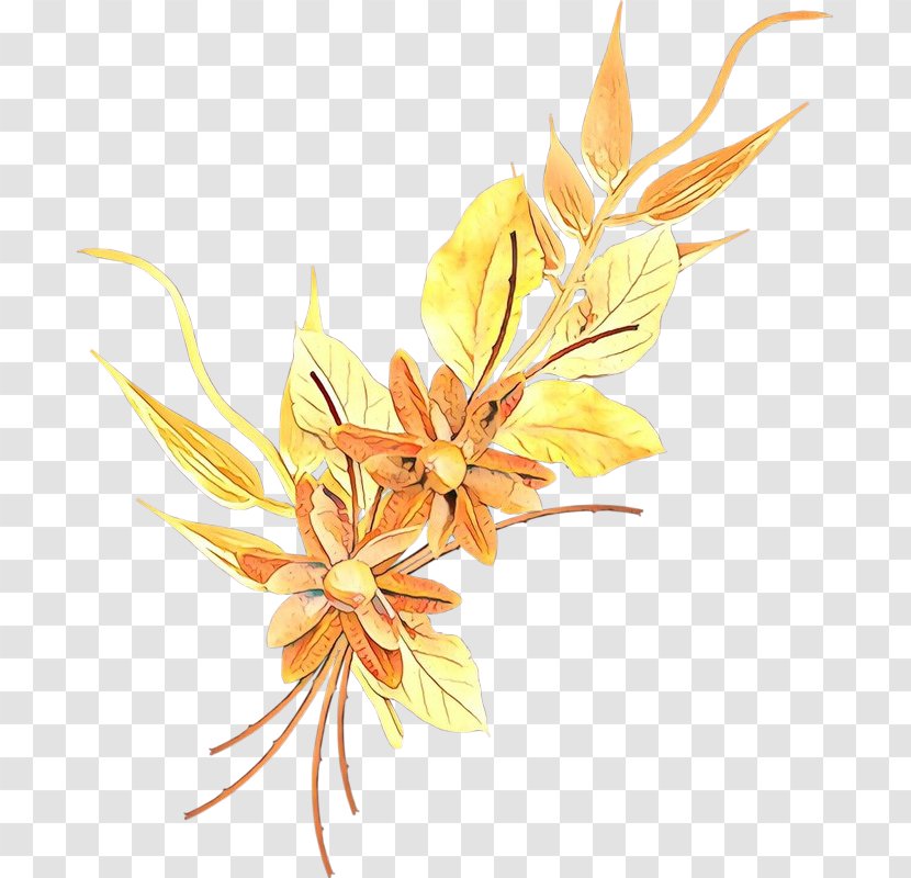 Yellow Flower Plant Leaf Transparent PNG
