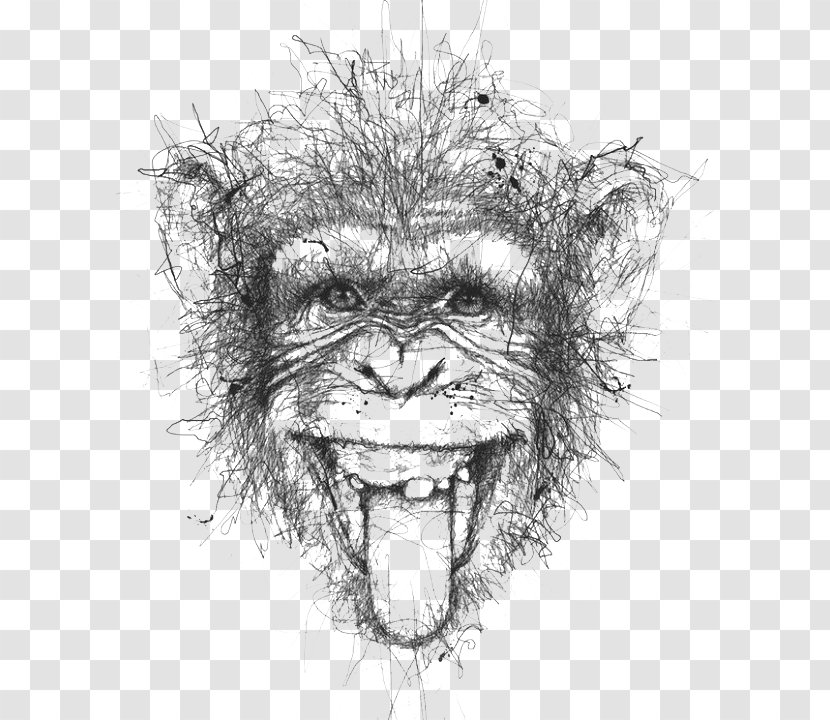 Artist Doodle Drawing Illustration - Painting - Black And White Lines Stitching Monkeys Transparent PNG