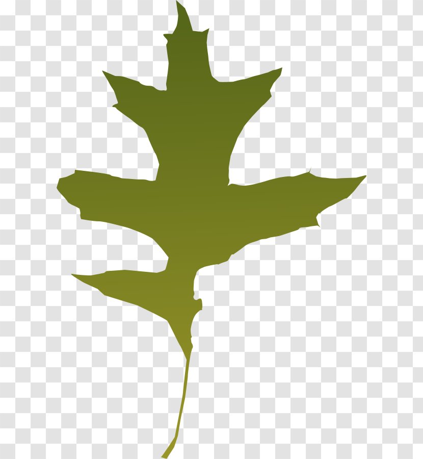 Autumn Leaf Color Clip Art - Picture Of Oak Leaves Transparent PNG