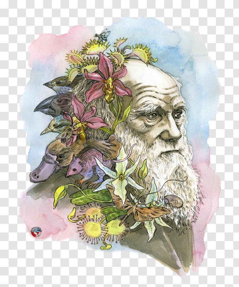 The Beak Of Finch: A Story Evolution In Our Time Theory Darwin Day Darwinism - Molecular Biology - Scientist Transparent PNG