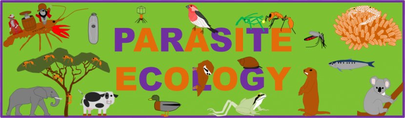 Ecosystem Ecology Interaction Parasitism Clip Art - Advertising - Species Cliparts Transparent PNG